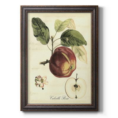 " Printed Tuscan Fruits I "