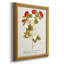 Toile encadrée de qualité supérieure Botanicals-1205242410