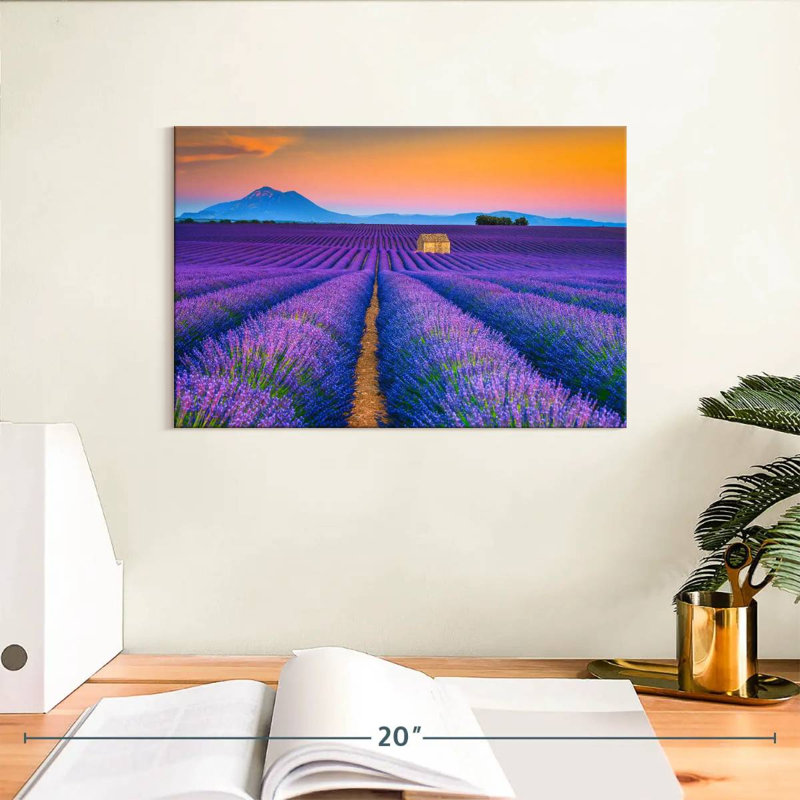 Alvord superbe champ de lavande Valensole, H 8 po x l 12 po