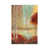 Wrapped Canvas