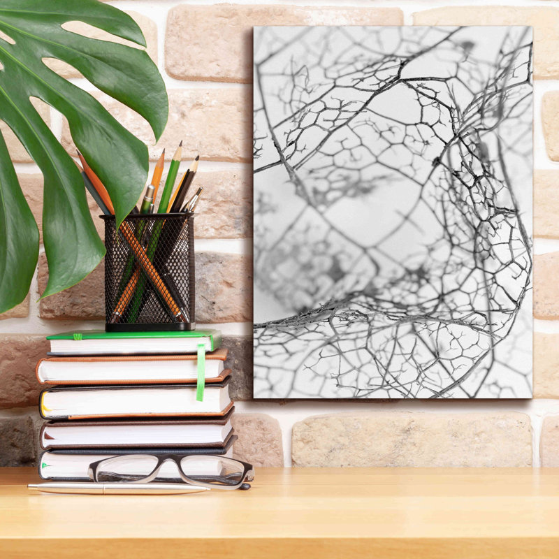 "Leaf Skeleton BW" par Design Fabrikken, H 16 po x l 12 po x P 0,75 po