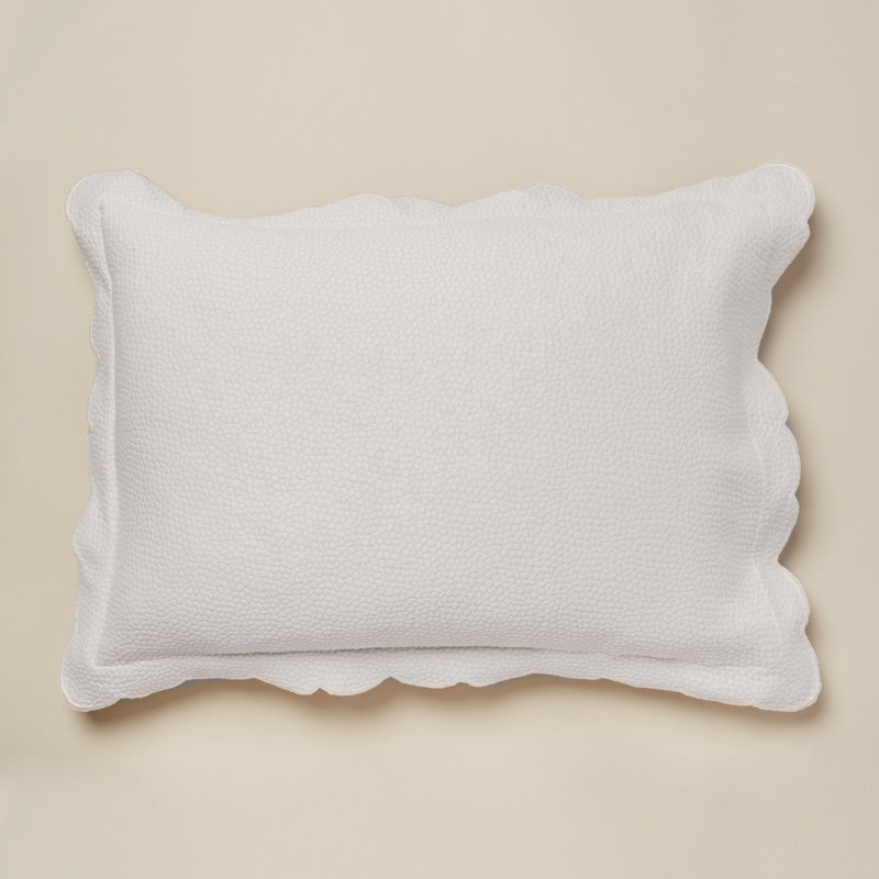 Ugo Polyester Sham - Standard