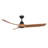 Baylor 60'' Ceiling Fan-95319965