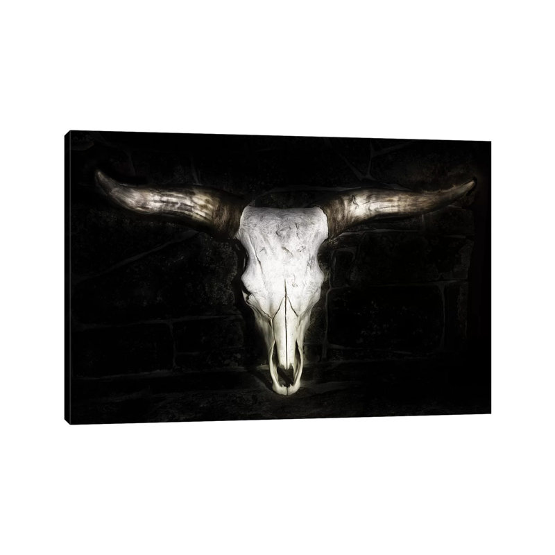 Cow Skull by PHBurchett - Wrapped Canvas Print, 101.6 cm H x 66.04 cm W x 1.91 cm D