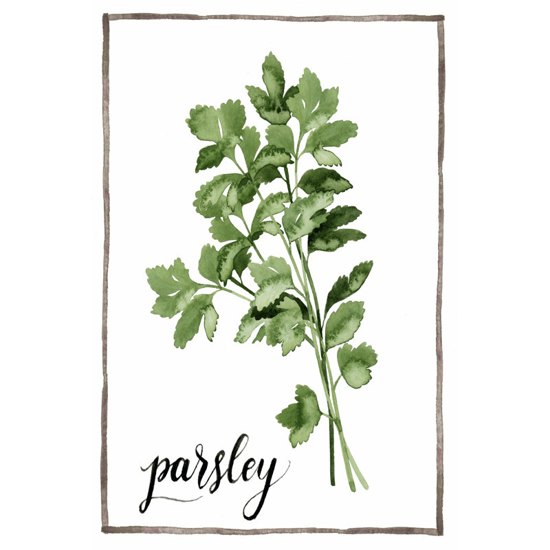 Watercolour Herbs II 1 Piece Wrapped Canvas Painting, 30cm H x 20cm W