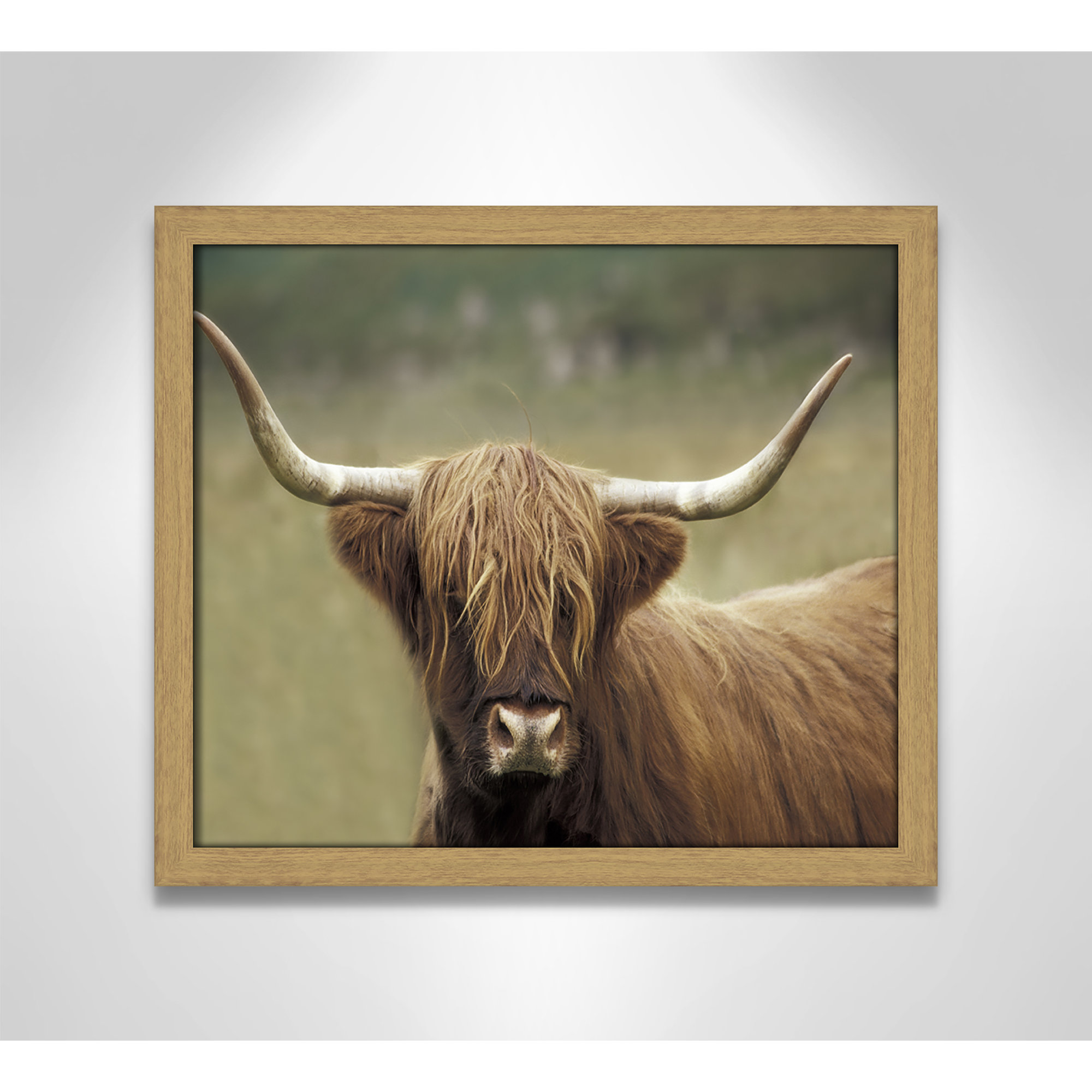 Highland Afternoon by Danita Delimont - Picture Frame Photograph, Natural Wood Grain Framed, 13" H x 15" W x 0.75" D