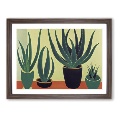 Aloe Vera Plants - Single Picture Frame Print