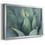 Blue Agave I, reproduction d'art sur toile-1613496266-1613496267