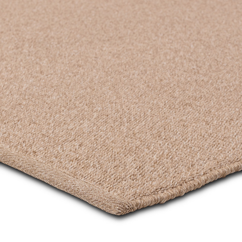 Jaipur Living Texel Indoor/Outdoor Solid Brown Area Rug (6'X9'), Rectangle 9' x 12'