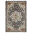 Oriental Indoor Rug-781898561