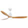 Jaustin 52'' Ceiling Fan with LED Lights