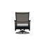 Wexler Outdoor Swivel Lounge Chair-1099678805-1102391103