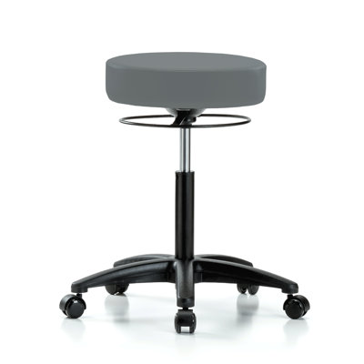 Adjustable Height Lab Stool with Removable Casters/Wheels