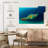 Brampt Philippine Green Sea Turtle-108816635