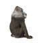 Mandrill assis
