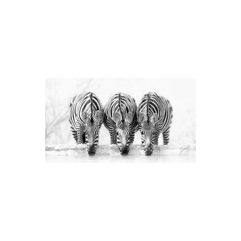Wrapped Canvas Print, 50.8 cm H x 76.2 cm W