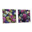 Watertown - Ensemble de 2 verres muraux en acrylique tropical bord de mer-103925907