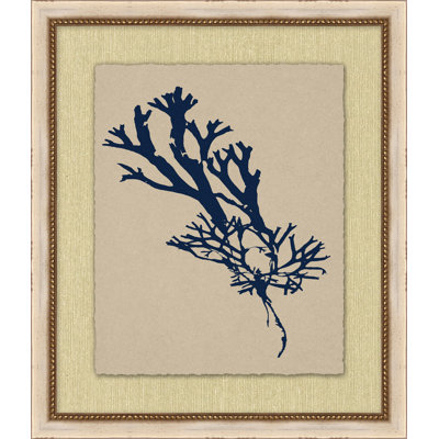Small Navy Sea Fan 5 Print
