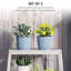 Pot Planter-523822746