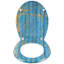 Dejay Soft Close Elongated Standard Toilet Seat