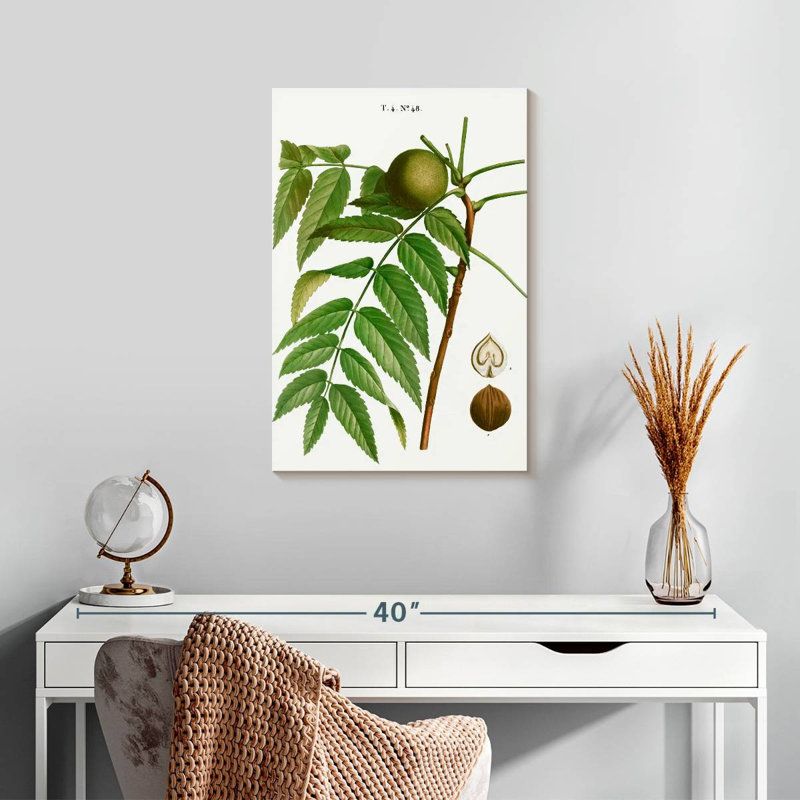 Nègre noir Keiri Juglans, H 24 po x l 16 po