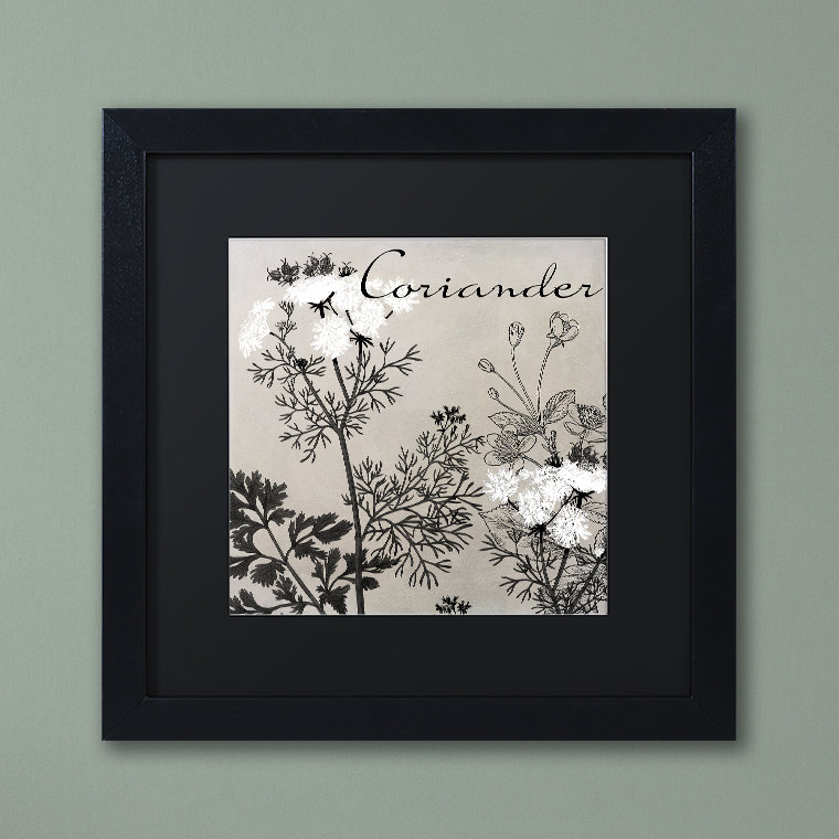 Jadaya «Flowering Herbs IV» par Color Bakery, impression encadrée, Noir, H 16 po x l 16 po x P 0,5 po, Cadre noir