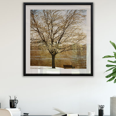 «Lonely Tree in Sun», reproduction de cadre photo sur papier