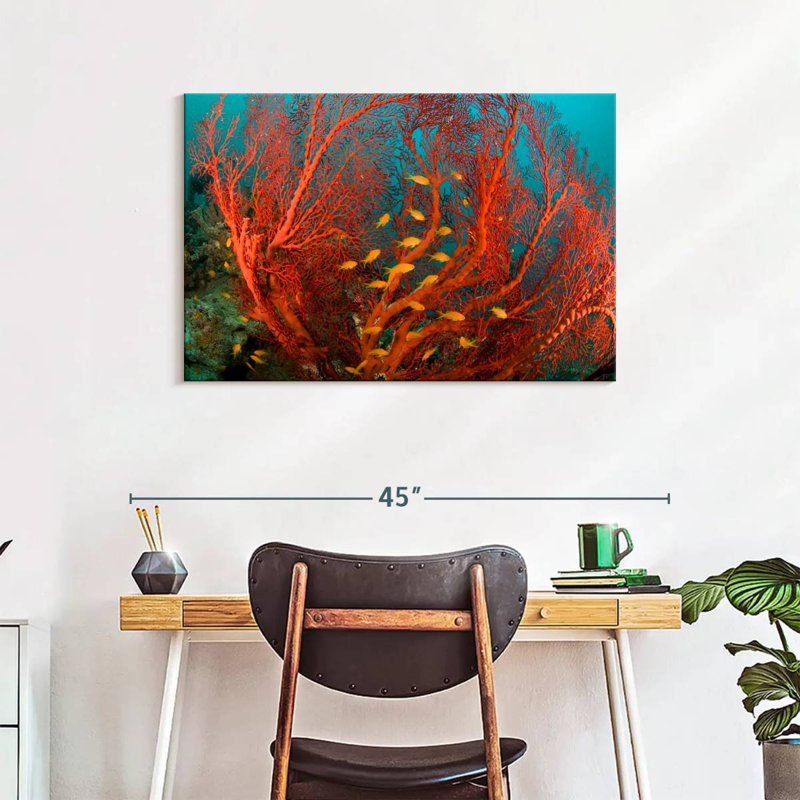 Fire Coral, 24" H x 36" W