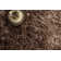 Tapis blanc / brun Waylon Flokati