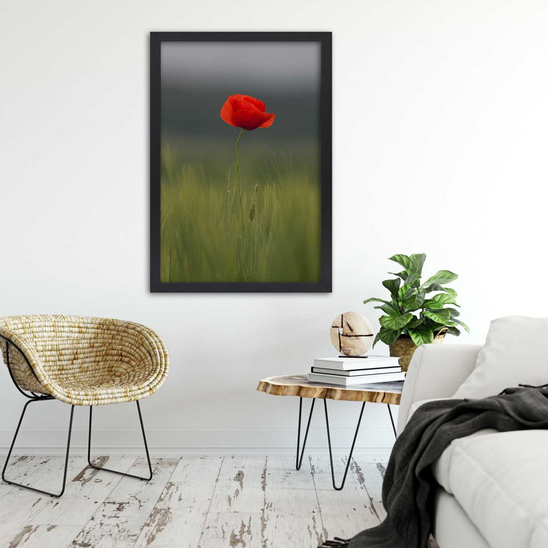 Gerahmter Kunstdruck Poppy on a Field