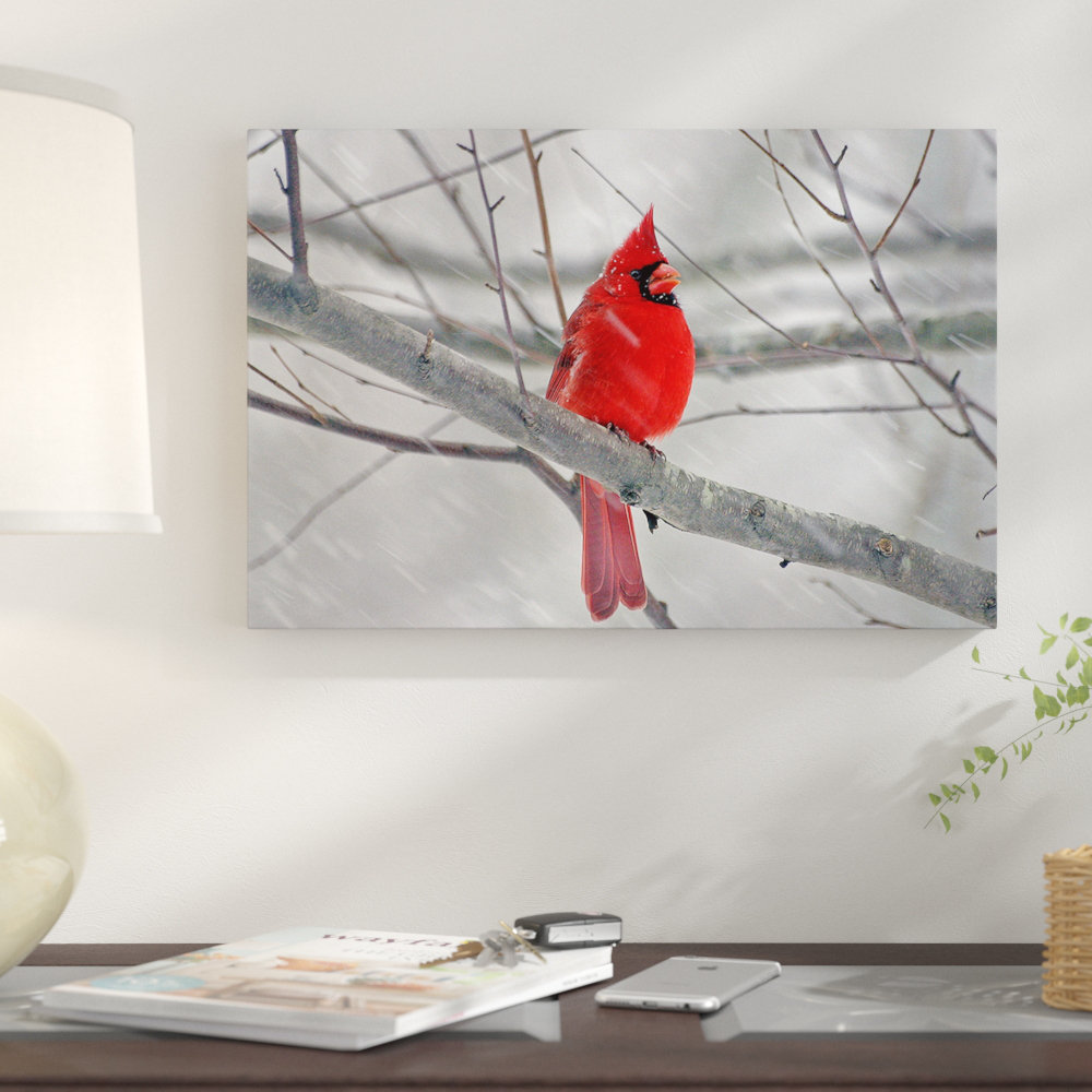 'Cardinal Bird' Graphic Art Print East Urban Home 