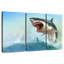 Requin effrayant