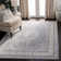 Delmer Performance Oriental Rug