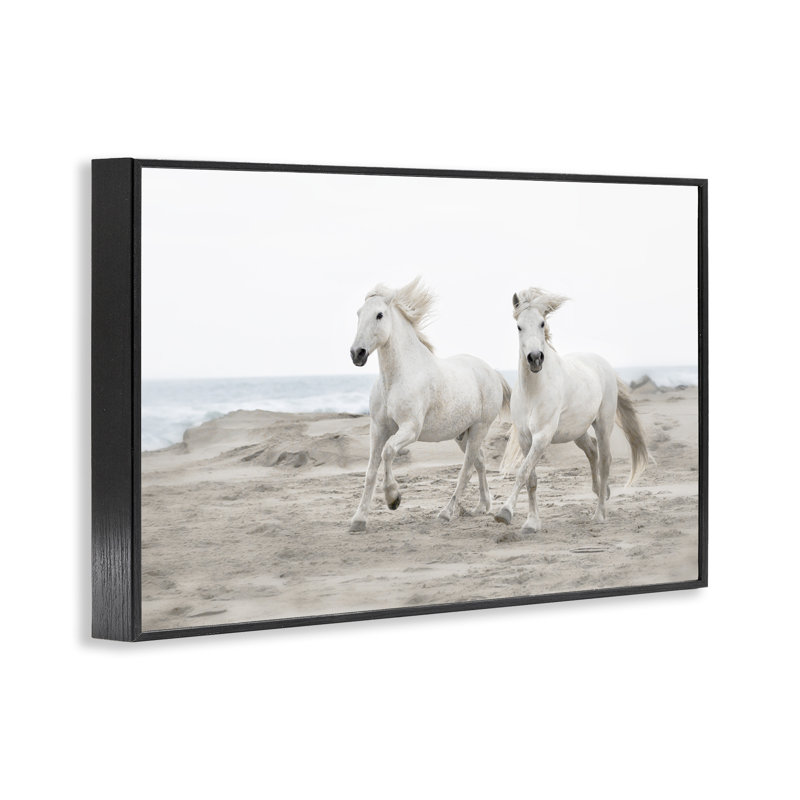 Giclée encadrée, dessin par Danita Delimont, H 12 po x l 18 po, Giclée encadrée noir minuit