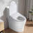 Adjustable Heated Smart Bidet Toilet Seat With Side Knob, Night , And Automatic Nozzle Cleaning - Post Cleaning, Female Massage Functions, Precise Position Adjustment Via Remote, Intelligent
