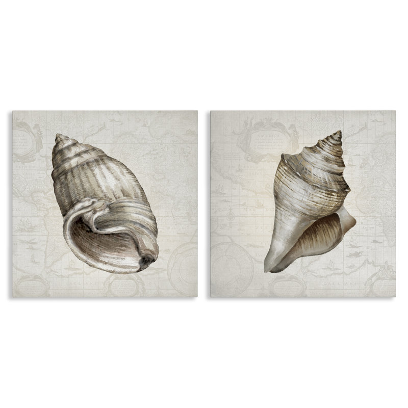 Conch Shells over Vintage Maps 2 Piece Canvas Wall Art Set, design by Conrad Knutsen, H 17 po x l 17 po