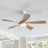 Damecia 5 - Blade Smart Standard Ceiling Fan with Remote Control and LED Light-1557132351-1604776218