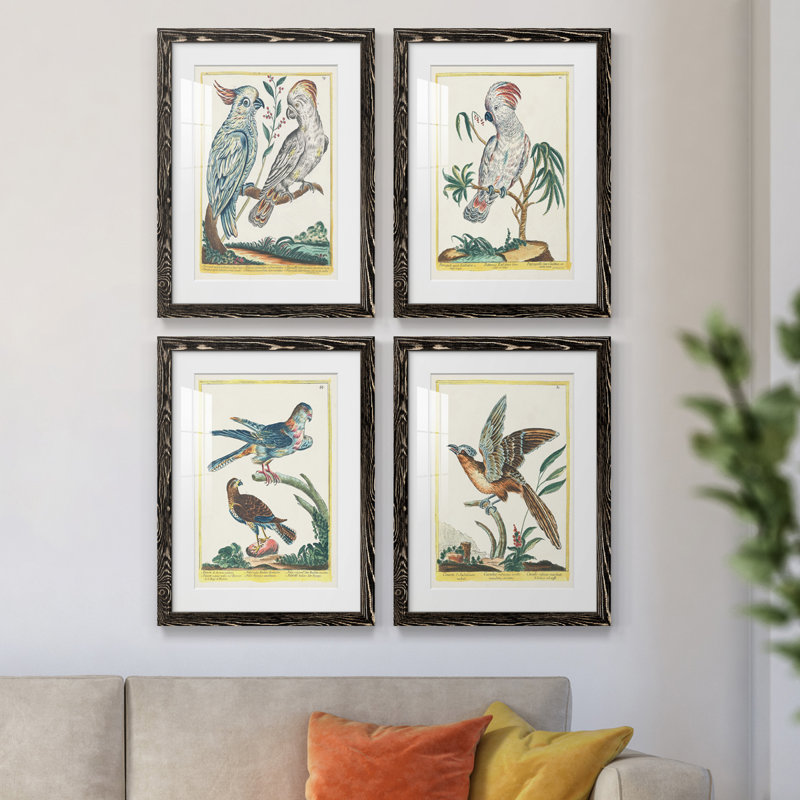 «Pastel Birds I», ensemble de 4 reproductions de cadres photo, Noir, H 20 po x l 68 po x P 1,5 po
