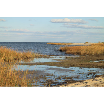 " Chesapeake Bay Beach " by Bayrunner