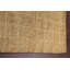 Tapis d'intérieur / extérieur à damier contemporain noué à la main 5 x 8 po