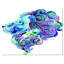 « blue lion abstract art », impression-21971592-35123655