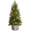 3.5' H Lighted Artificial Pine Christmas Tree