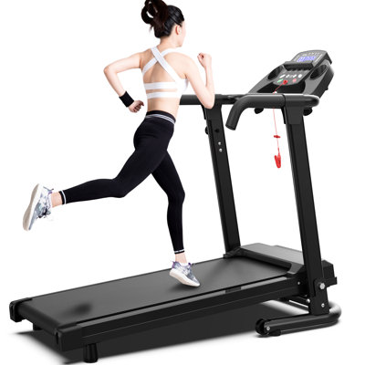 AMPLIFYBUILT Back Support