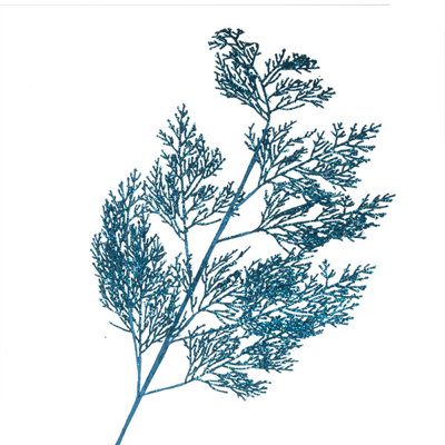 70cm Fern Branch
