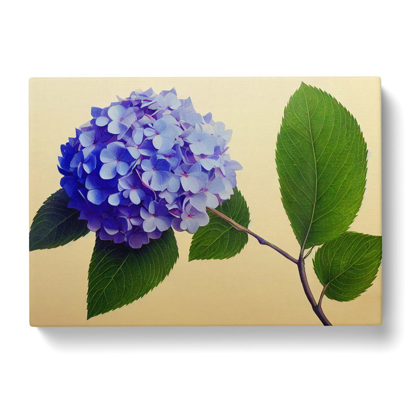 Hydrangea Flowers Art Vol.3 - Wrapped Canvas, 50cm H x 76cm W x 3cm D