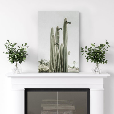 Désert de cactus, minimalisme, cactus de Saguaro, désert du sud-ouest