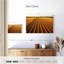 Harnek Wheat Field Lines-111881111