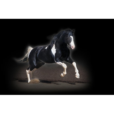 Portrait de cheval