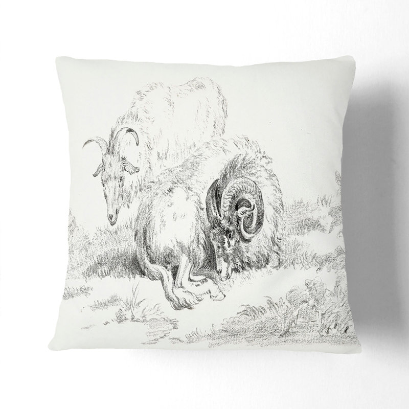 Square Throw Cushion, 55cm H x 55cm W x 20cm D, Black