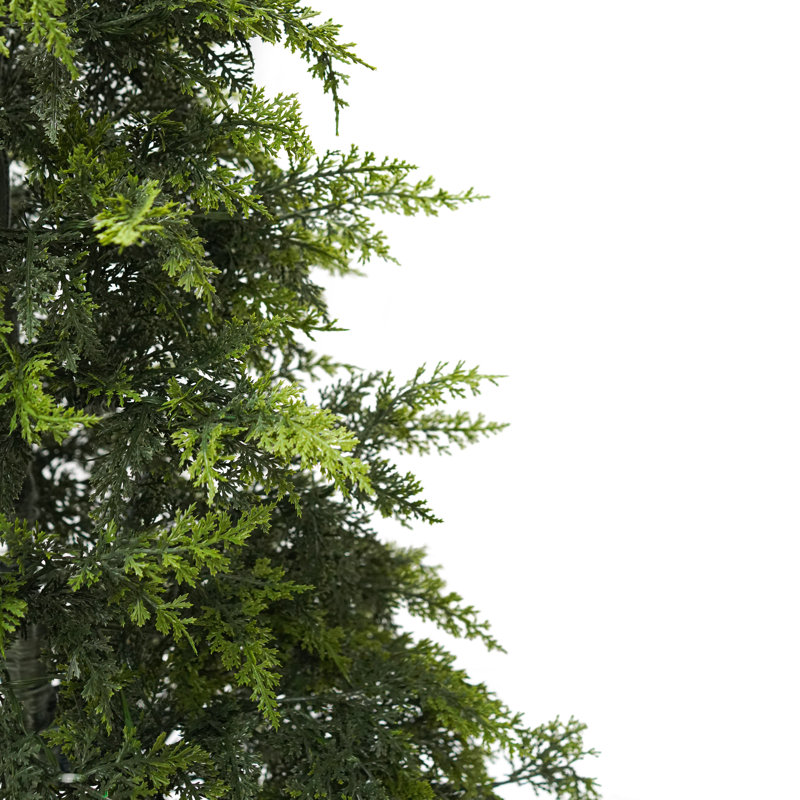 Ensemble de 3 sapins de Noël en pot pré-illuminés Everglow, 60 cm, 90 cm et 120 cm.